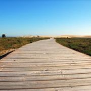 Beam Bridge - Wooden Footbridge