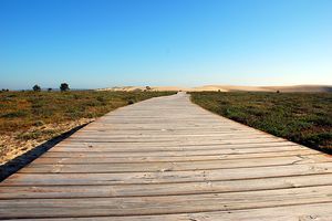 Beam Bridge - Wooden Footbridge