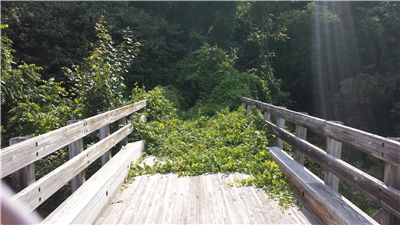 Bridge To Nowhere