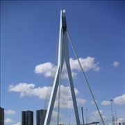 Erasmus Cable Stayed Bridge