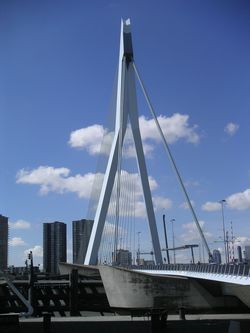 Erasmus Cable Stayed Bridge