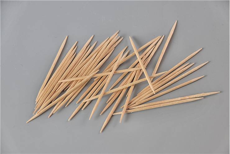 Toothpicks For Bridge Model