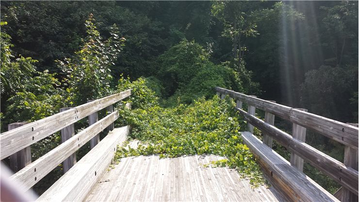 Bridge To Nowhere